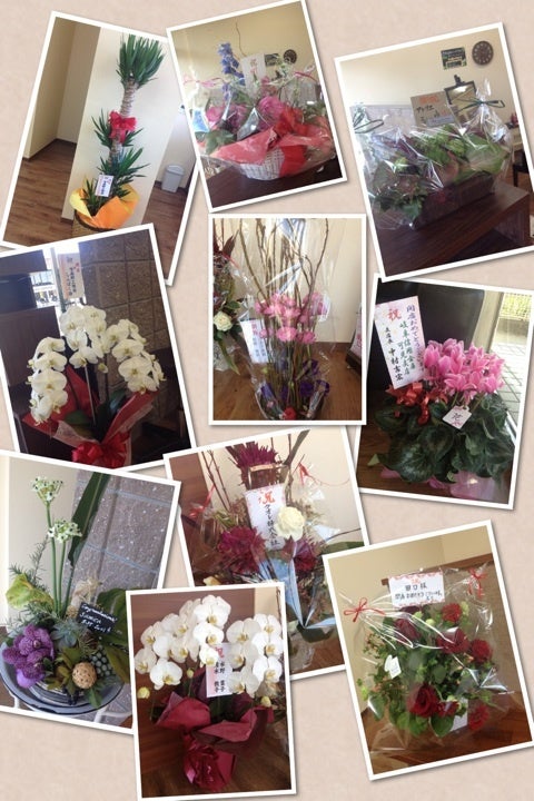 photo:01